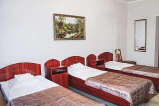 Отель Hotel Sluch Starokostyantyniv Бюджетный двухместный номер с 1 кроватью или 2 отдельными кроватями-9
